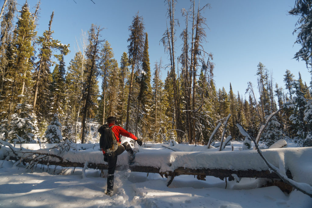 idaho-winter-michael-bonocore-1-3