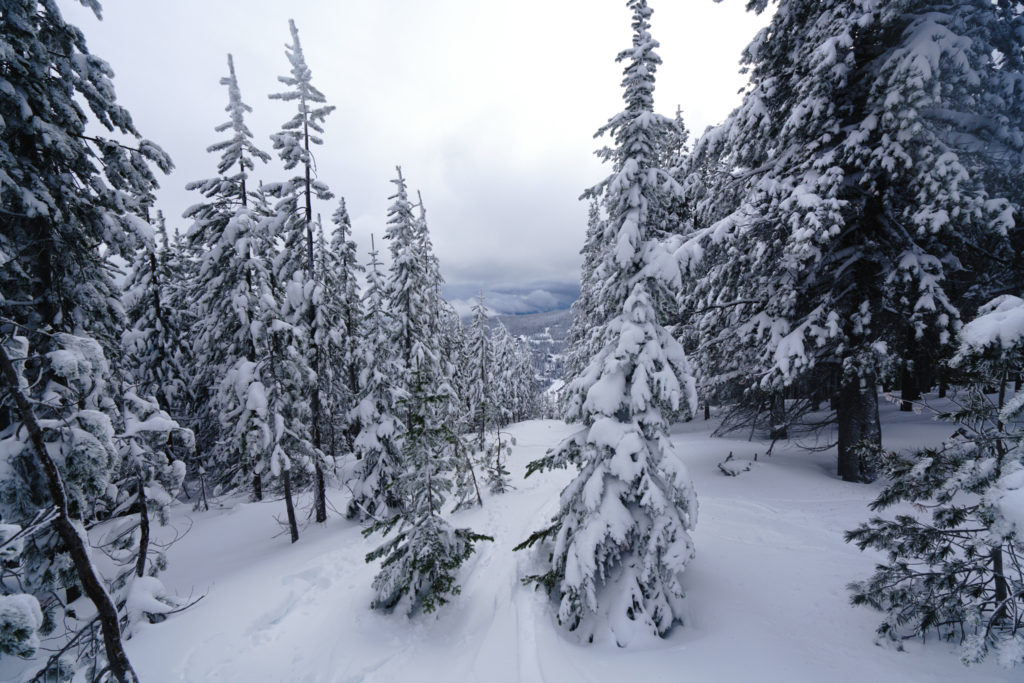 idaho-winter-schweitzer-michael-bonocore-2