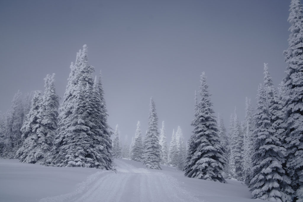 idaho-winter-selkirk-powder-company-michael-bonocore-14