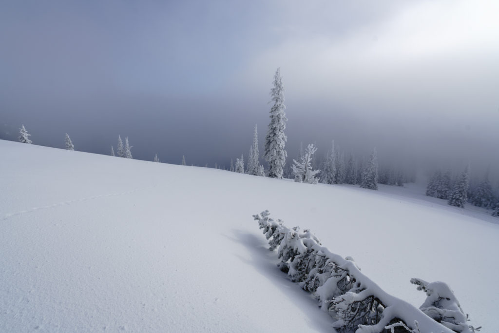 idaho-winter-selkirk-powder-company-michael-bonocore-16