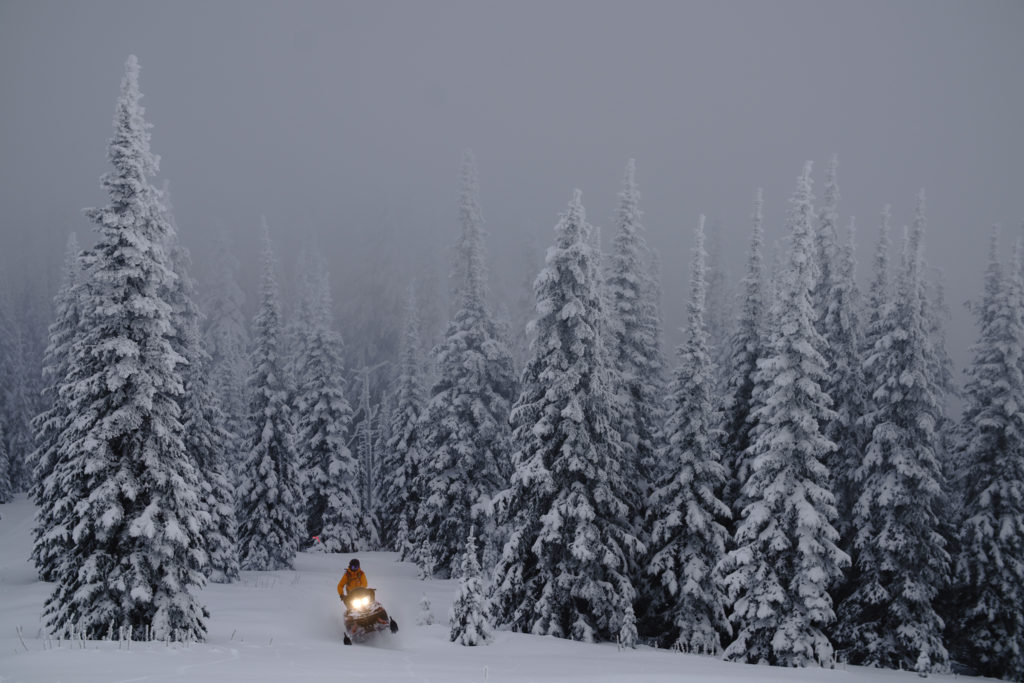 idaho-winter-selkirk-powder-company-michael-bonocore-17