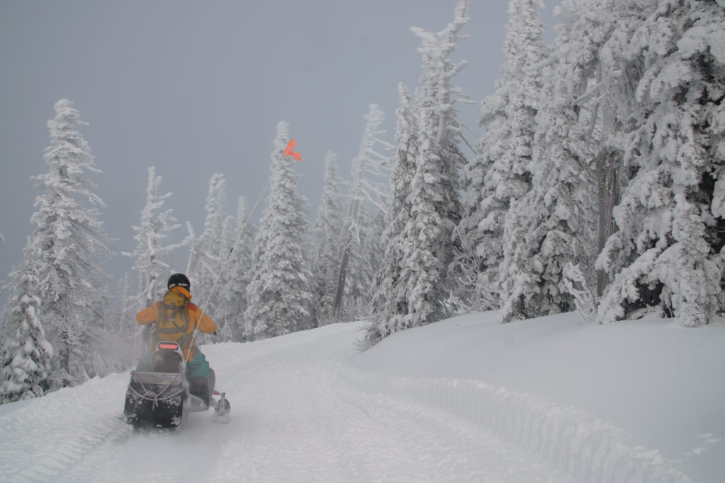 idaho-winter-selkirk-powder-company-michael-bonocore-7