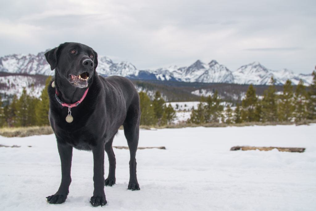 idaho-winter-stanley-michael-bonocore-2