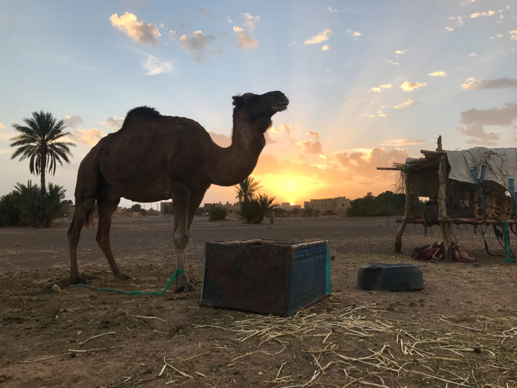 morocco-iphone-7-plus-michael-bonocore-46