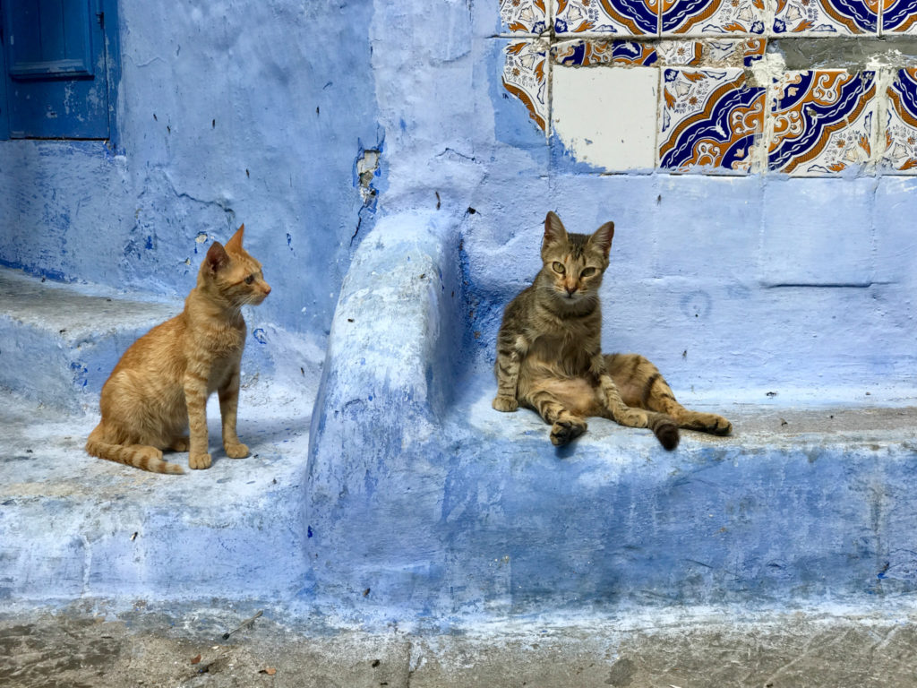 morocco-iphone-7-plus-michael-bonocore-61