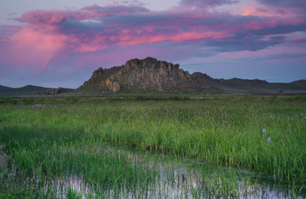 A Spring Sunset in Camas Prairie