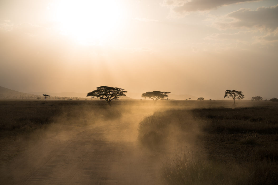 michael polizia lake natron tanzania michael polizia lake natron tanzania