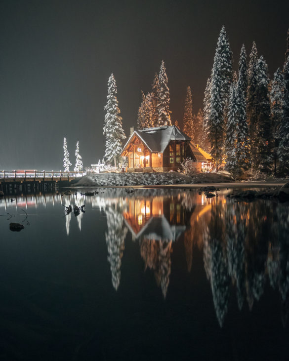 © Stevin Tuchiwsky