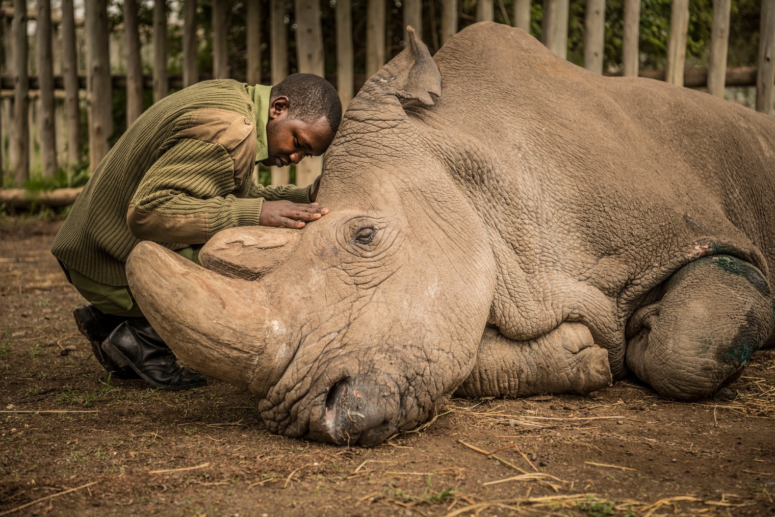 A Conversation with Ami Vitale About Rhino Conservation and How You Can Win a Trip to Kenya - Michael Bonocore
